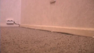 Incestuous Love: Brother Fills Sisters Mouth with His Sperm